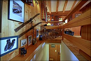 étage living - ski - détail