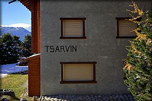 tsavin